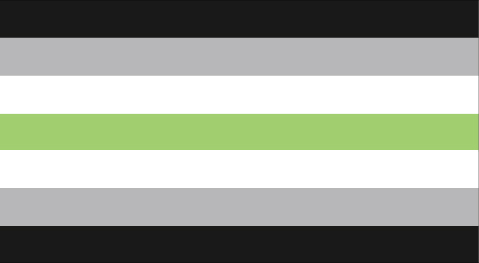 Agender Pride Flag